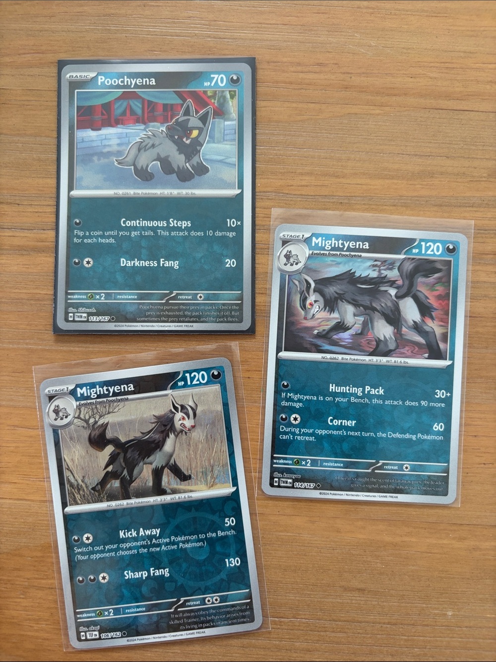 Poochyena & Mightyena Evolution Lot | 3 Reverse Holo Pokémon Cards ✨5/$25✨
